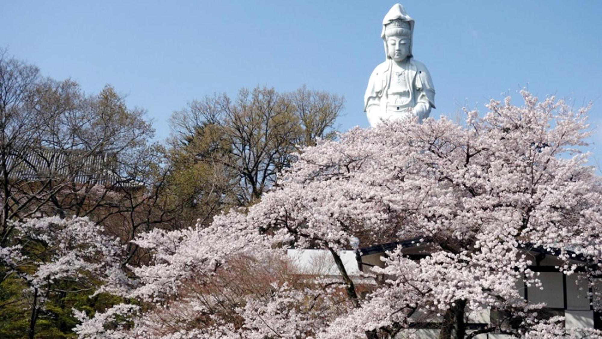 Toyoko Inn Takasaki Eki Nishi Guchi No 2 Zewnętrze zdjęcie
